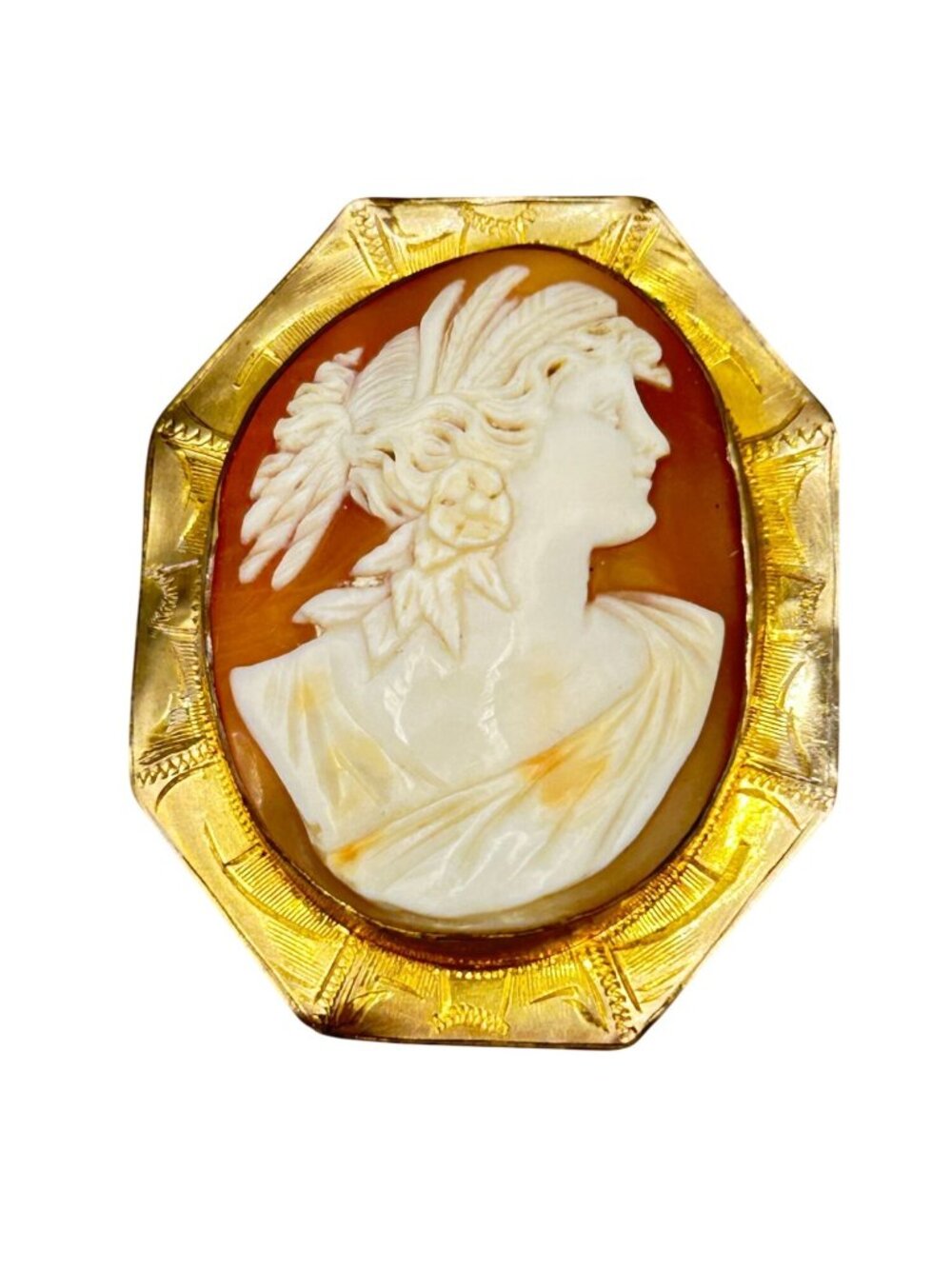 Vintage Genuine Cameo Pin brooch Gold Tone Settings Detailed Carvings 2" tall